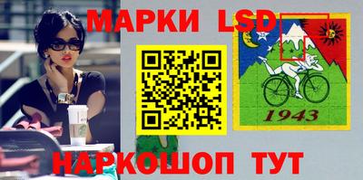 спиды Бийск