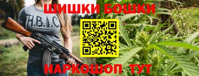 спиды Бийск